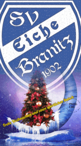 weihnachten eiche